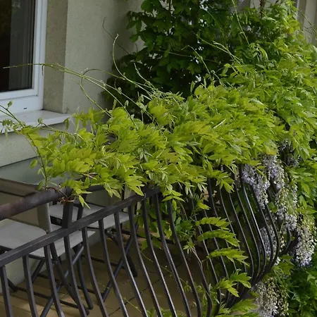 Oda ve Kahvaltı Luna